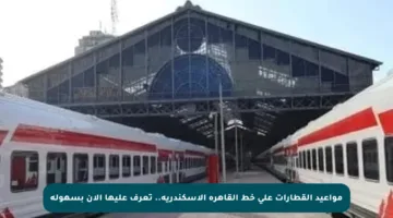 مواعيد القطارات على خط القاهرة الإسكندرية.. تعرف عليها الآن بسهولة